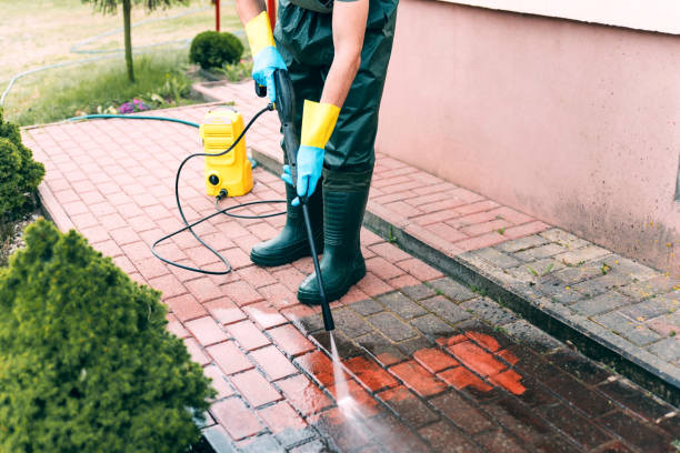 Best Pressure Washing Patio  in Hamlet, IN