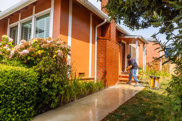 Best Concrete Pressure Washing  in Hamlet, IN