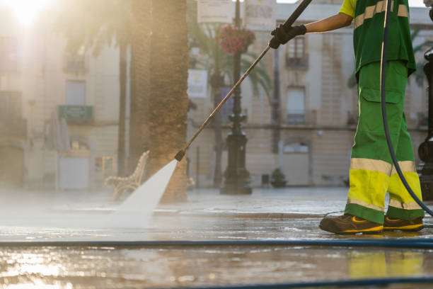 Best Fence Pressure Washing  in Hamlet, IN