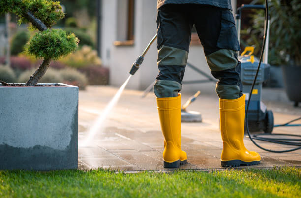 Best Exterior Home Cleaning  in Hamlet, IN